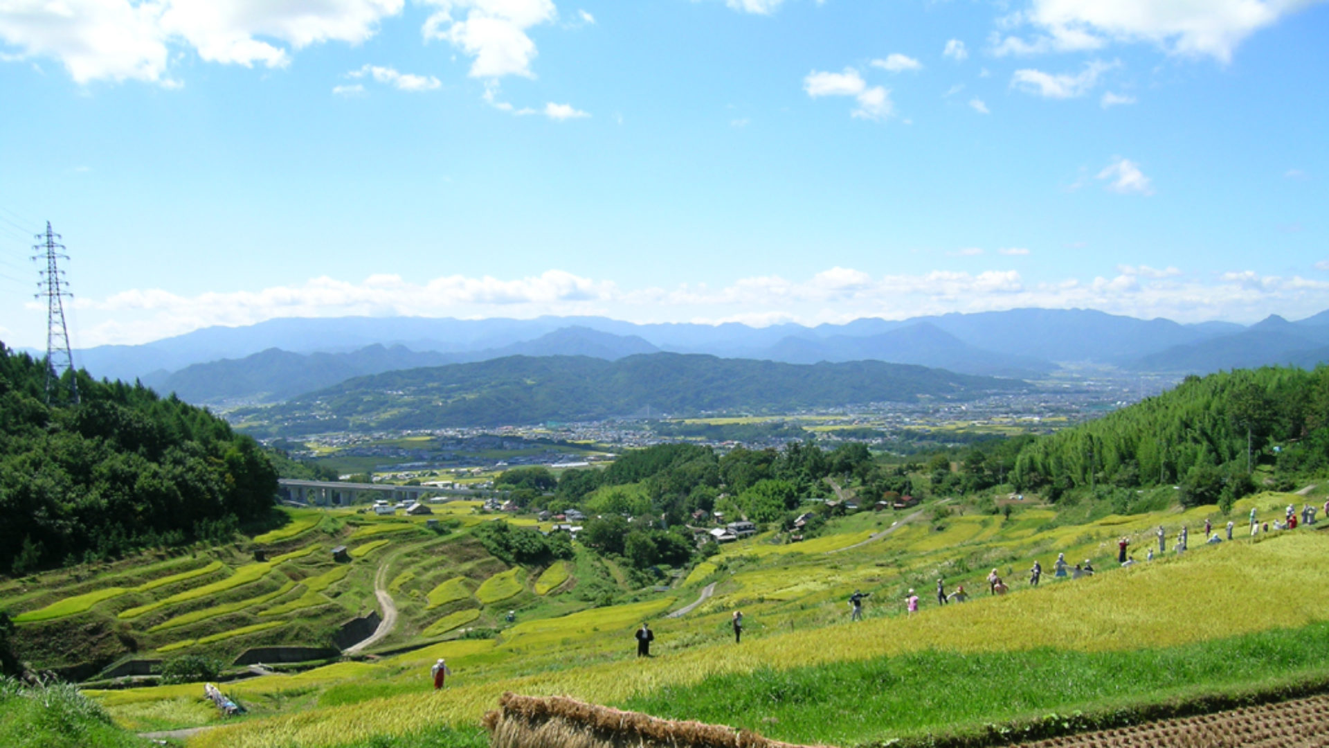 地元ファン.上田